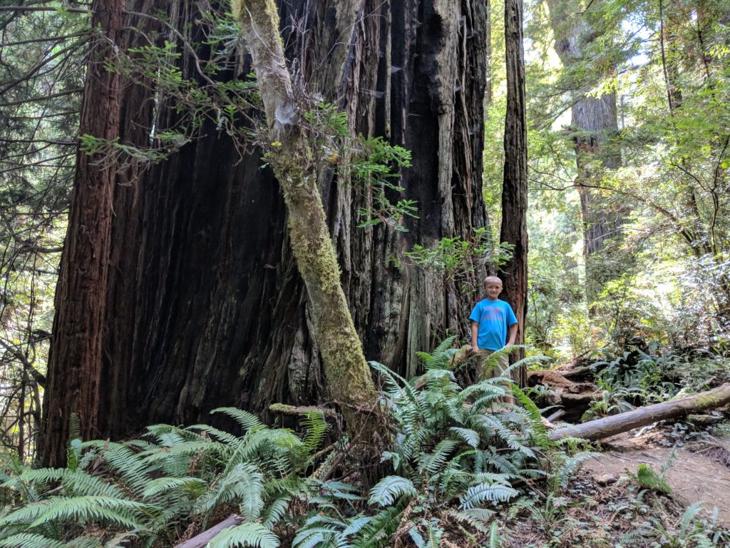 Trillium Falls Trails 