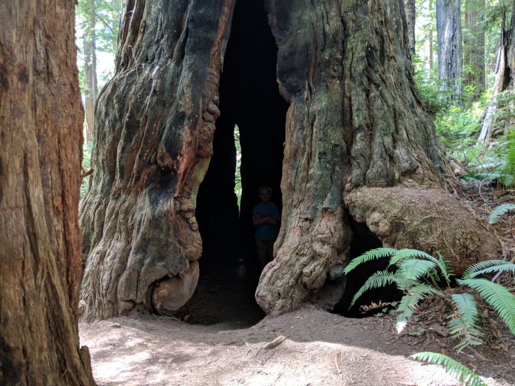 Trillium Falls Trails 