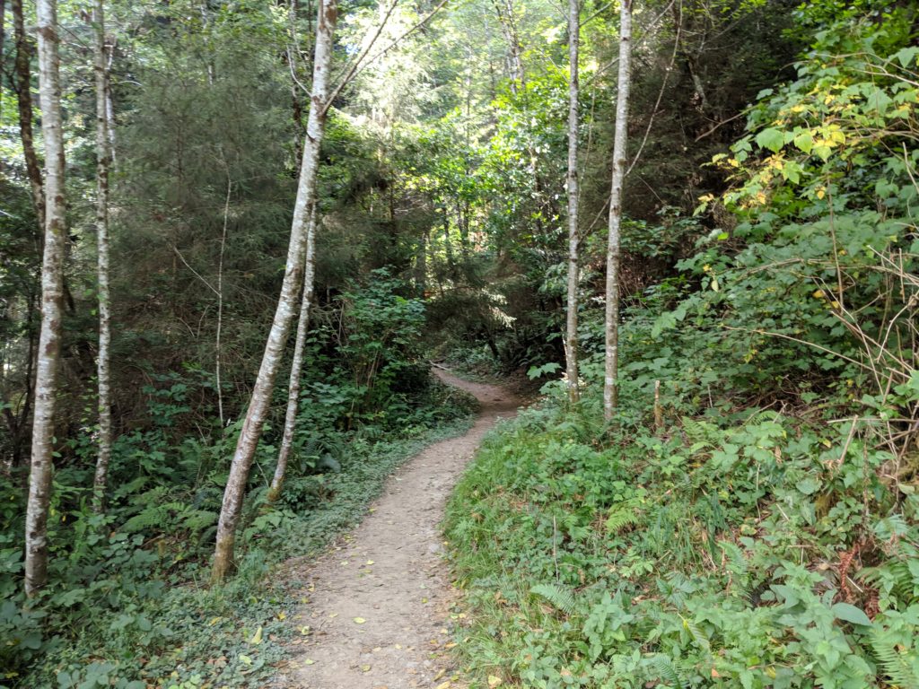 Trillium Falls Trails 